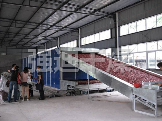 DWC系列脱水蔬菜带式干燥机