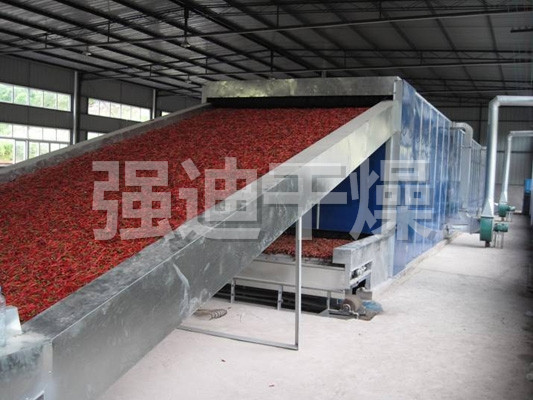 DWC系列脱水蔬菜带式干燥机